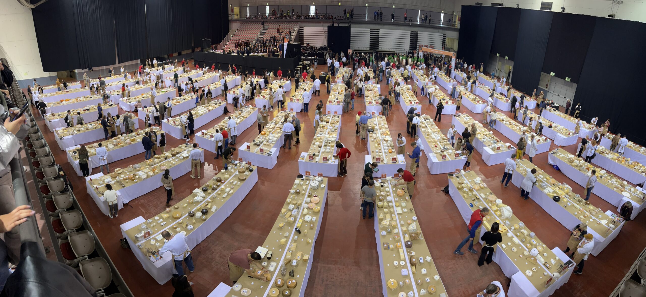 Tavolata foraggi (Gabriele Arlotti)